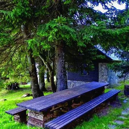 Cokla Rogla Appartement Zreče